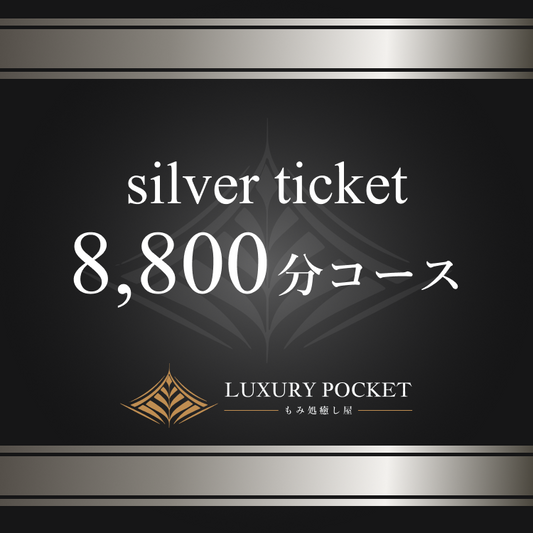 シルバーチケット（8800円コース）